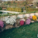 Florback