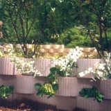Florback